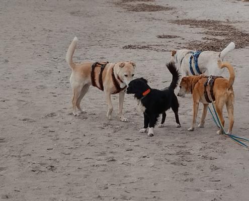 IMG_20220103_124415_HDR (2)