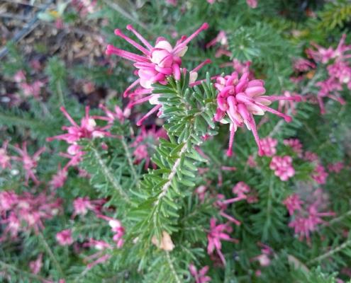 IMG_20220103_131734_HDR