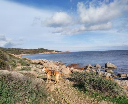 IMG_20220104_125249_HDR