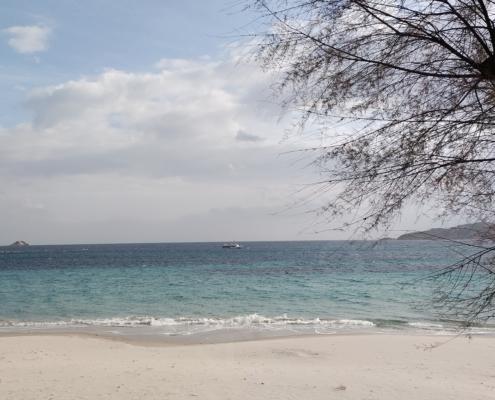 IMG_20220105_120920_HDR