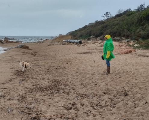 IMG_20220106_125132_HDR