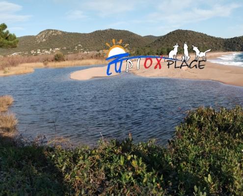 IMG_20220111_093343 - Kopie