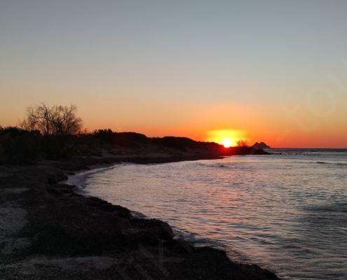 IMG_20220113_075134_HDR