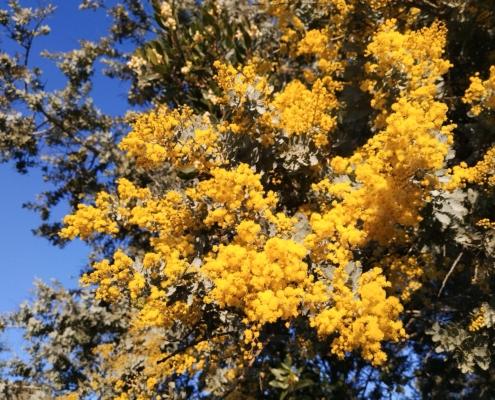 IMG_20220113_085458_HDR