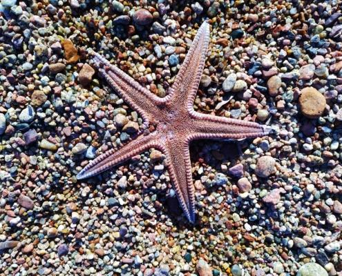 IMG_20220113_120224_HDR