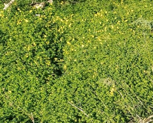 IMG_20220114_111838_HDR