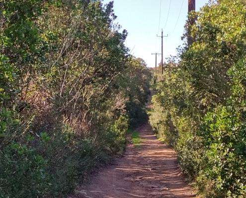 IMG_20220114_123246_HDR