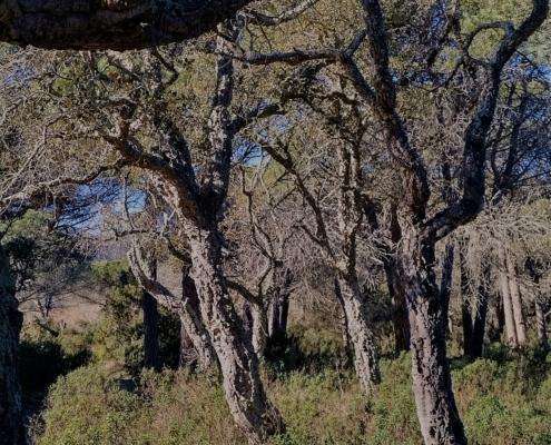 IMG_20220114_124145_HDR (2)