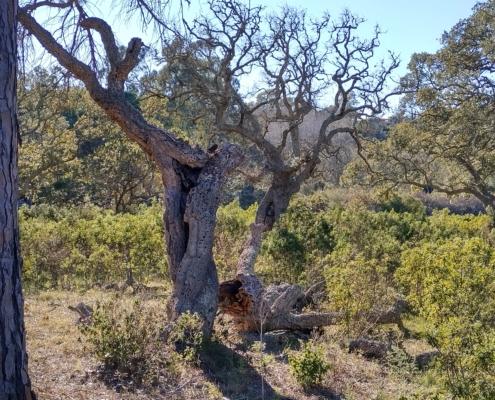 IMG_20220114_124158_HDR