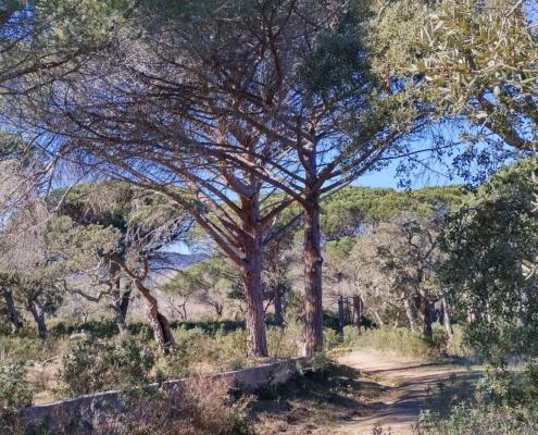 IMG_20220114_124624_HDR