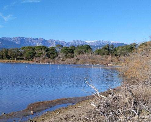 IMG_20220114_130216_HDR