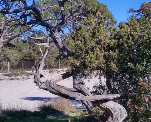 IMG_20220114_130819_HDR