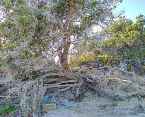 IMG_20220114_134416_HDR (2)