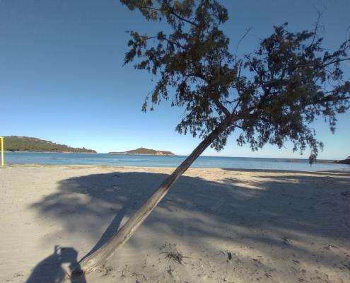 IMG_20220114_135301_HDR