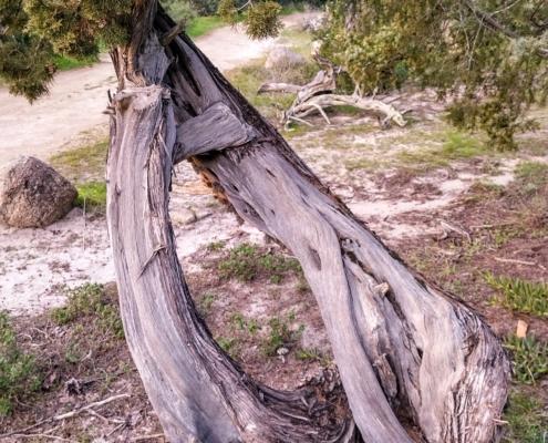 IMG_20220123_164430_HDR~2