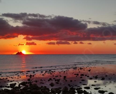 IMG_20220125_074608_HDR