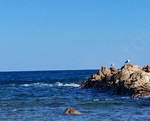 IMG_20220125_123609_HDR