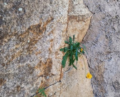 IMG_20220125_130148_HDR