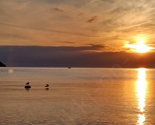 IMG_20220127_075542_HDR~2