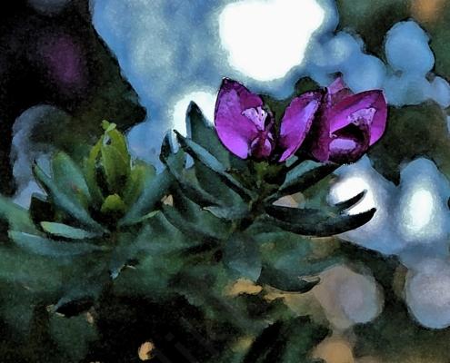 D32P4222 - Kopie - Spezial