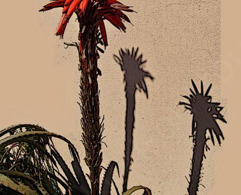 E30G0719 - Kopie - Spezial - 56