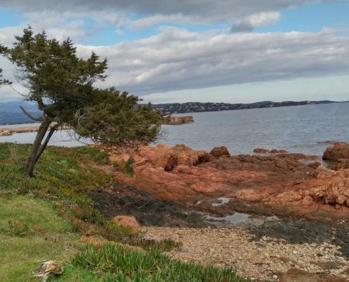 IMG_20220126_132158_HDR