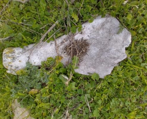 IMG_20220131_133258_HDR