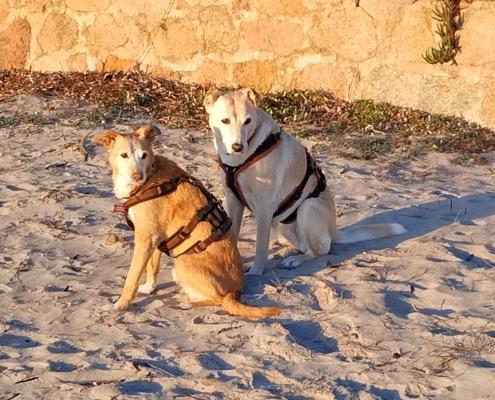 IMG_20220210_074900_HDR