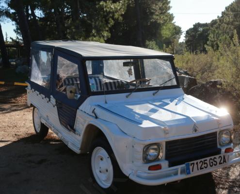 22 - AZUR - D32P2881 - Kopie