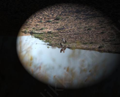 DV7I8198 - Kopie - Spezial