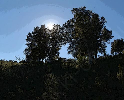 E30G0560 - Kopie - spezial - 56