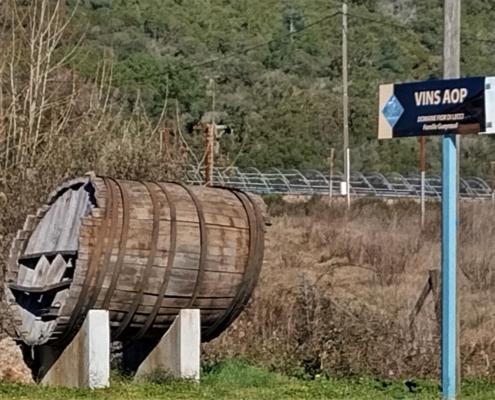 IMG_20220209_104127_HDR