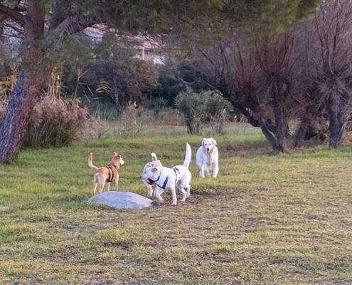 IMG_20220220_080643_HDR