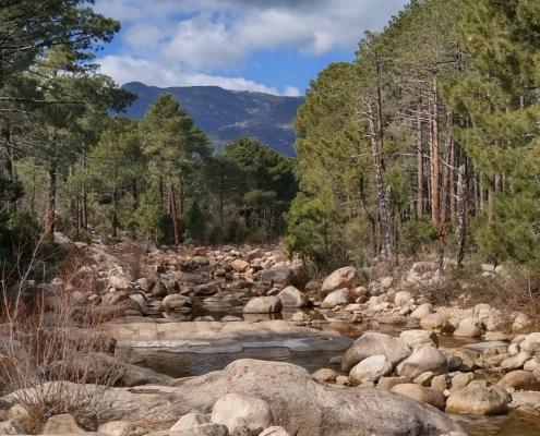 IMG_20220220_125513_HDR