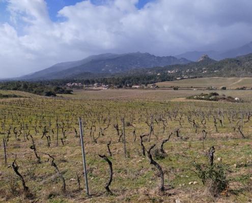 IMG_20220221_120746_HDR