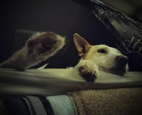 IMG_20220330_062547_HDR~2