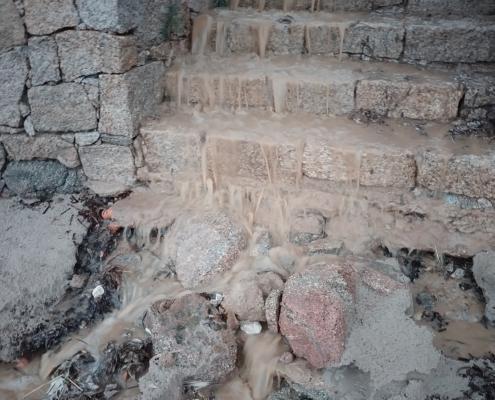 IMG_20220330_072541_HDR