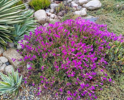 IMG_20220330_101027_HDR