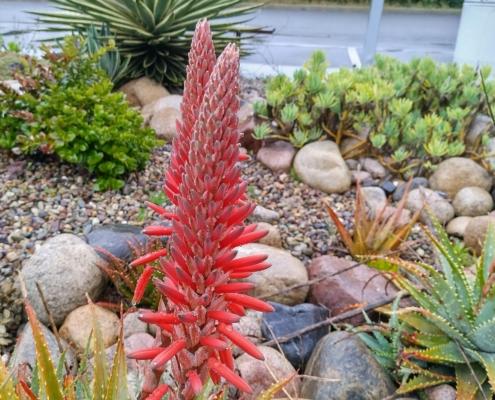 IMG_20220330_101045_HDR