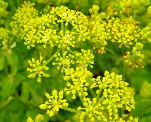 IMG_20220330_190107_HDR