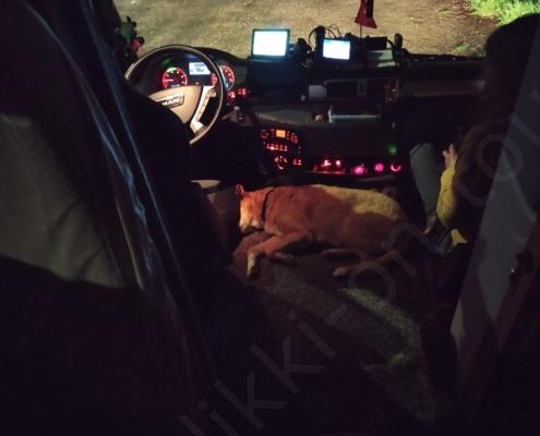 IMG_20220331_060337_HDR