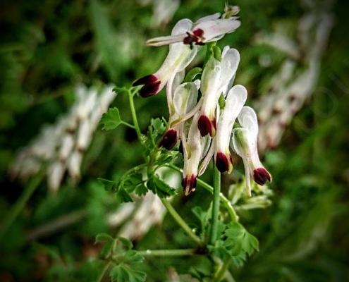 IMG_20220331_132629_HDR~2