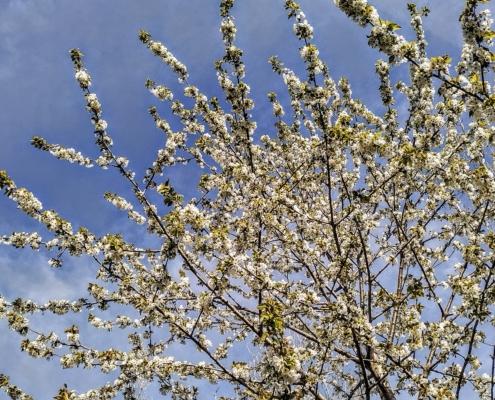 IMG_20220331_174437~2