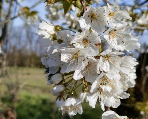 IMG_20220331_174757_HDR