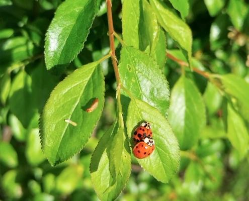 IMG_20220331_174940_HDR