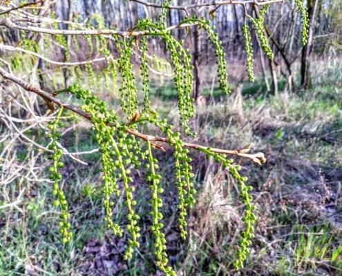 IMG_20220331_182251_HDR~2