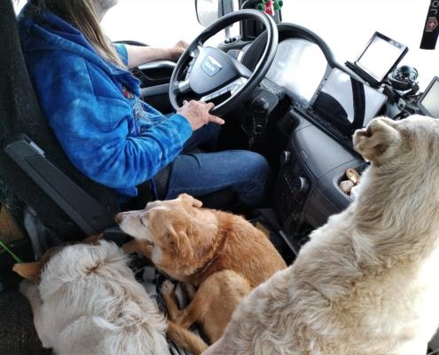 IMG_20220401_104224_HDR