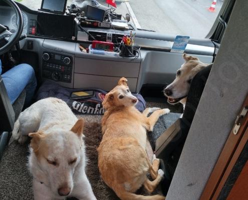 IMG_20220401_151831_HDR