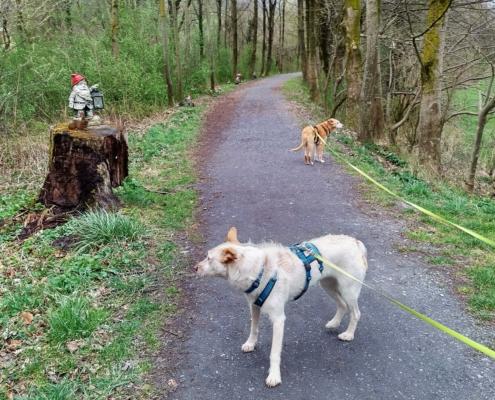 IMG_20220401_174122_HDR