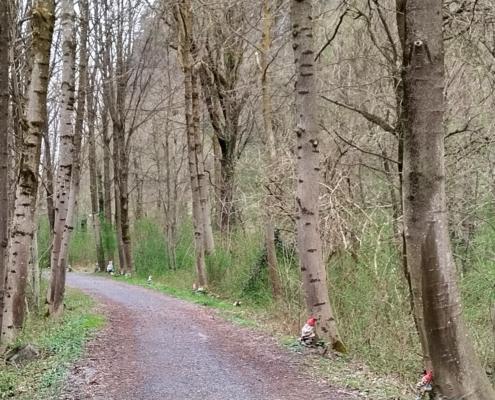 IMG_20220401_181632_HDR